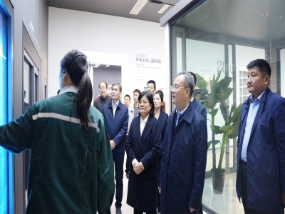 省工信廳總工程師、二級(jí)巡視員孫京軍一行 蒞臨卓越精工調(diào)研指導(dǎo)